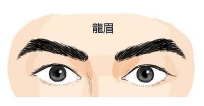面相中關于不同的眉形特征（二）