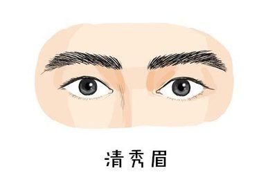 面相中關于不同的眉形特征（三）