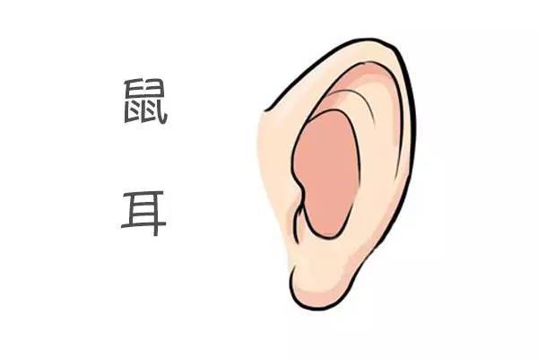 富貴的耳朵長什么樣，大富大貴的耳相