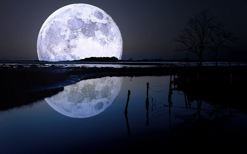 夜晚出生牛寶寶起什么名字孩子有個(gè)好運(yùn)勢(shì)
