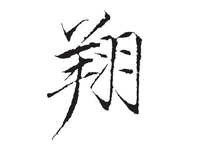 翔字宜用于牛寶寶起名嗎