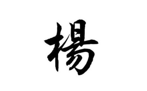 楊姓男寶寶起名大全屬虎好名字推薦