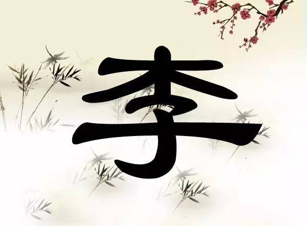 二月虎男寶寶李字起名有哪些好名字推薦