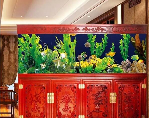 風水魚的擺放要領有哪些