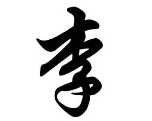 姓李屬虎女孩起什么名字