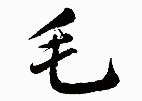 毛姓男孩名字大全2022