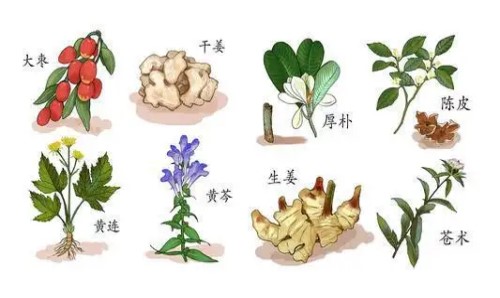 寶寶起名令人驚艷的中藥名