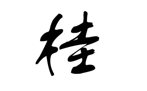 桂字取名女孩名字寓意