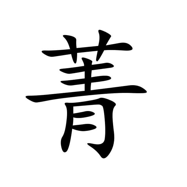 與菁字搭配的男孩名字