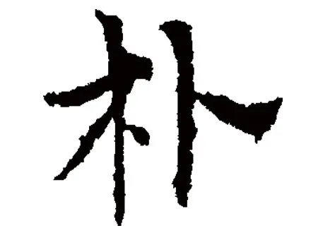 姓樸的男孩名字虎寶寶帶火