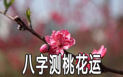 八字算桃花，看桃花在何時何地 ！