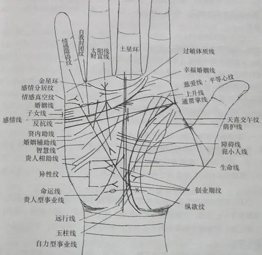 麻衣神相中的掌紋怎么看啊？