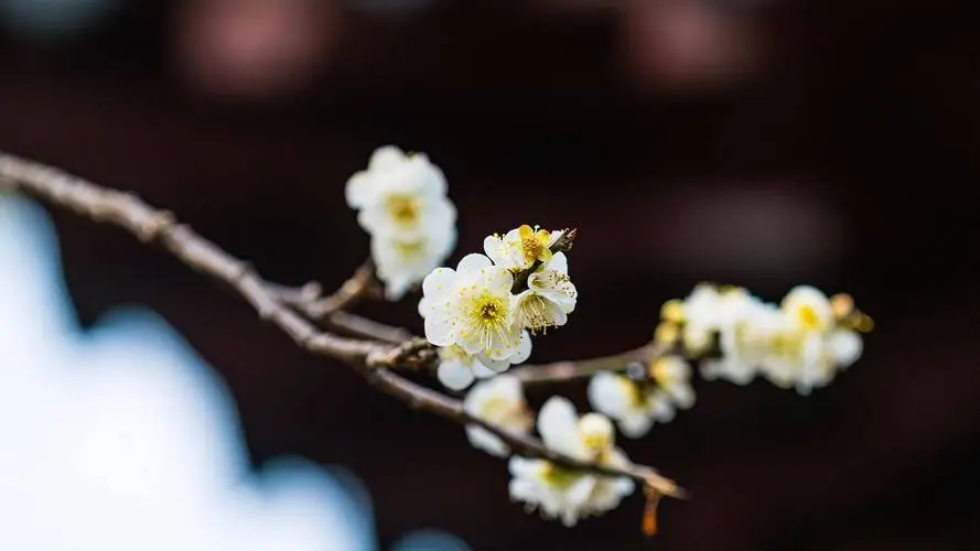 易經：為什么婚姻求穩，非但不能恒久，還會招致婚變？