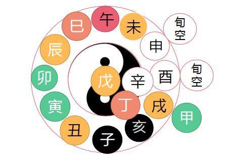 算八字基本知識：甲乙木曰主，生于四季的情況