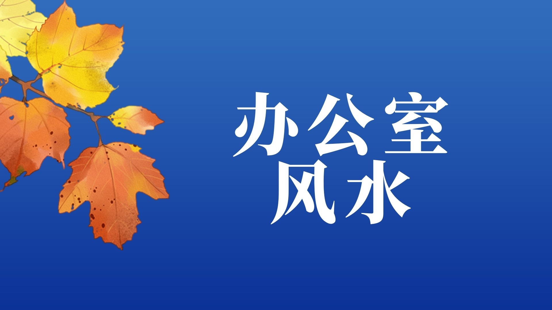 提升職場運勢的秘訣：辦公室風水調整必備