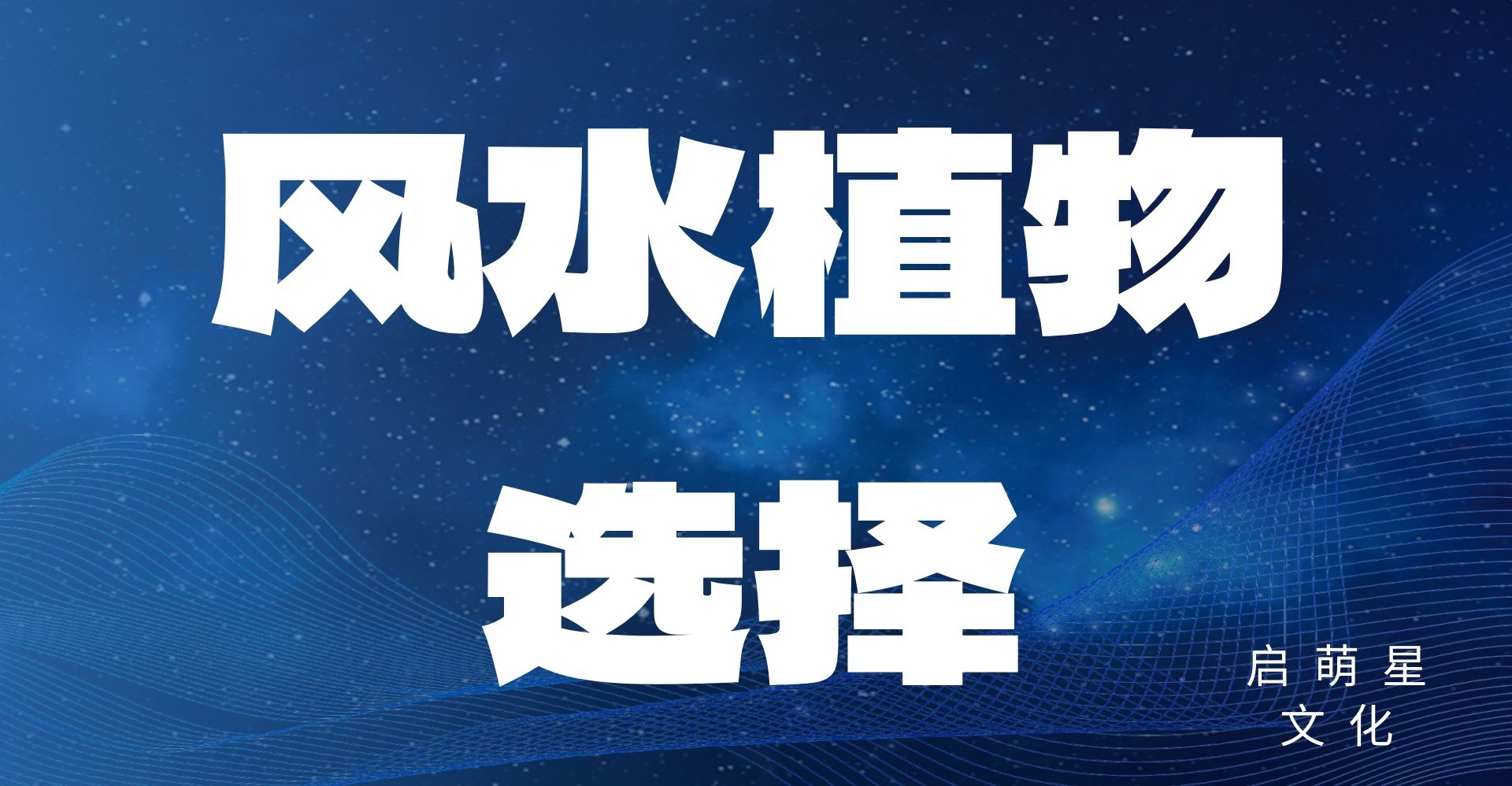 風水植物選擇指南：為您的辦公室環境增添財氣與事業運！