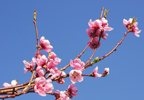 男士提升桃花運的風(fēng)水布局與秘訣