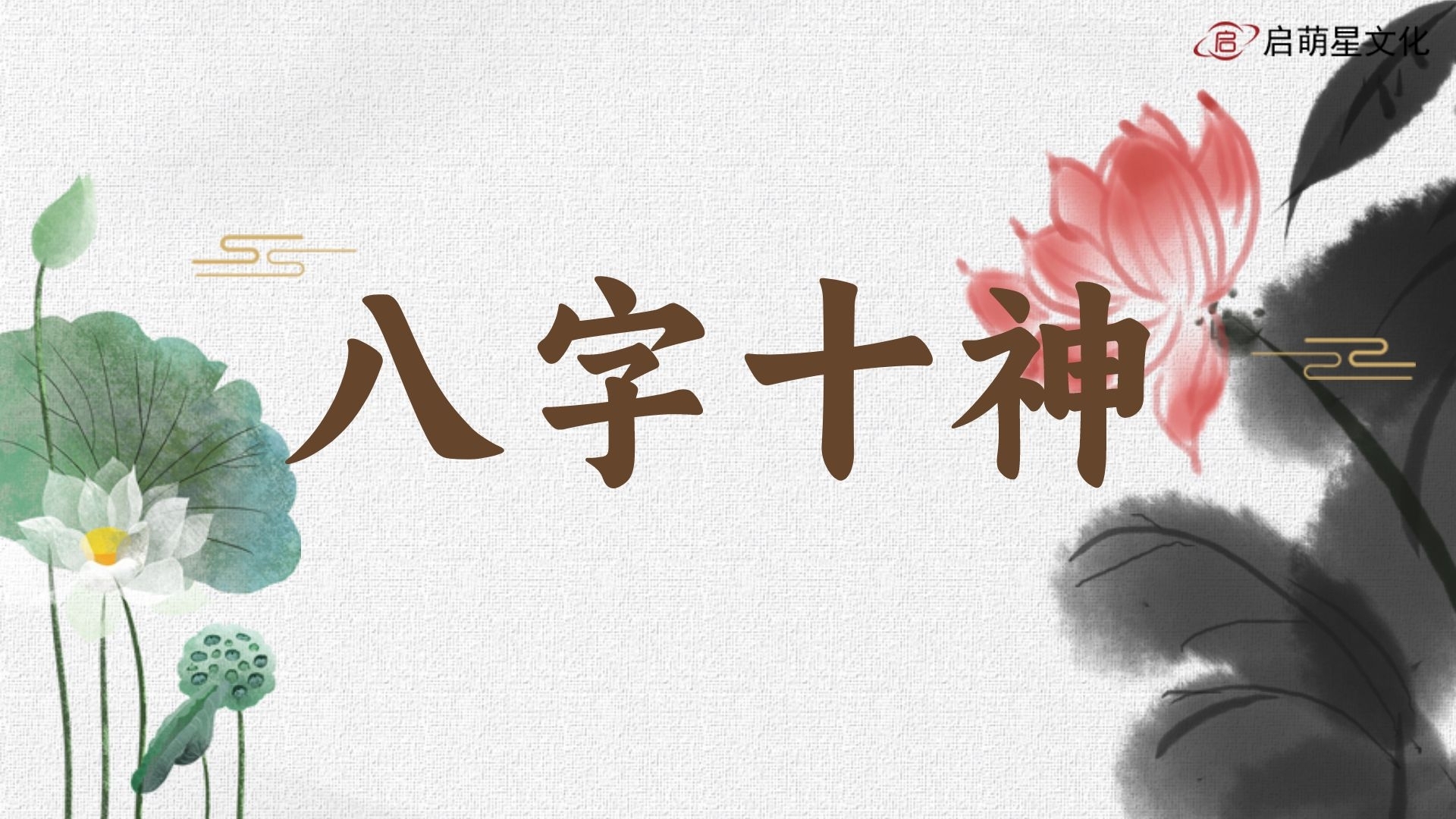 八字十神宮位觀念分享